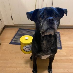 Meet your Posher, Patti